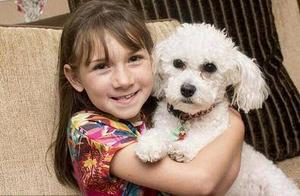 Girl Suffers 50 Seizures in a Day, Pet Dog Multiple Life-Saving Rescues