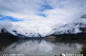 The Magical Gongzun Demu Journey (11)