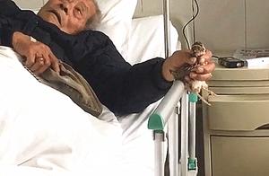Injured Elderly Man Hospitalized with Pet, Heartbreaking Scene Brings Tears to Eyes