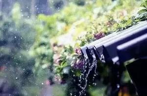 Long Night, March Rain, Tapping on My Window – Allowing Loneliness to Spread Across the Sea