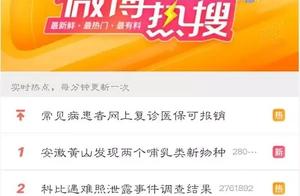 Breaking! Anhui's Yellow Mountain Tops Weibo Hot Search – All Because of a ‘Rat’?