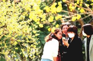 Spring in Jingcheng