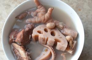 Lotus Root Octopus Bone Broth Recipe and Benefits