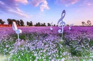 Here in Fadang (Huadu) is Called China's Provence~ Wandering Through the Flower Fields, Feeling Like Walking Through a Painting