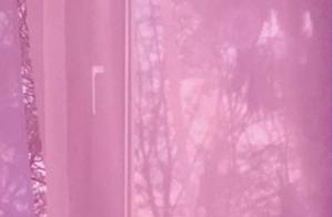 The Eternal Clarity and Gentleness of 'Pinned' Spaces: Always Awake, Always Gentle, Always Difficult to Approach