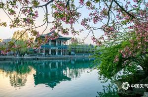 Spring Blooms of Full Gardens Cannot Be Contained - A Group of Photos to Let You Enjoy Jinan's Beautiful Scenery