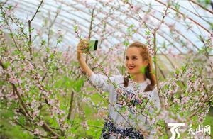 High-Definition Photo Gallery: Honghu County – Peach Blossoms Attract Tourists