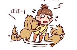 A Cute Puppy and a Pet Dog's Companionable Time - Perhaps the Most Healing Combination!