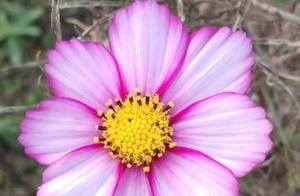 10 Reflections by Ma Weidong: Writing Helps Shape a Thoughtful Person