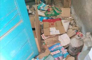 Golden Retriever Destroyed the House, Owner Sought to Blame It, and Discovered It Was Giving Birth to Puppies