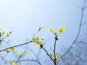 The Tremor of the Heart, in a Single Moment!