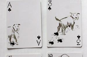 Playing Cards Designed for Dog Lovers