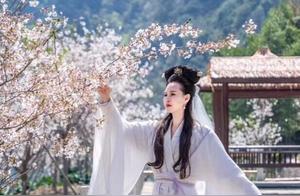 This Season to Pannan, Cherry Blossoms Bloom, A Hundred Miles of Smiles in the Spring Wind? (Love the Deep Crimson and Light Crimson?)