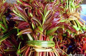 It's the Season for Eating Chinese Chives, and Correct Harvesting and Eating Methods are Important