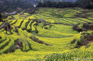 Anhui: The Spring Scenery of Huizhou is Like a Painting