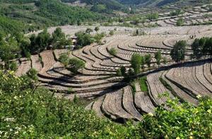 Another Year of Spring Plowing, Yiquin Terraces Like a Painting