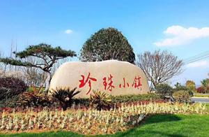 I Have a Dream Too! Although I Am Just an Ordinary Pearl Oyster