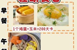 Intermittent Fasting, Low-Fat Low-Calorie High-Protein Diet Plan