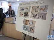 United Nations Issues Stamps Featuring Endangered Animals