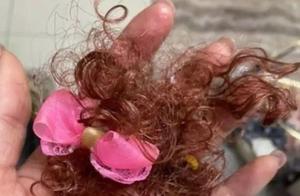 Upon returning home, a bald Barbie doll was found, netizens helplessly said: How should I explain it to my daughter?