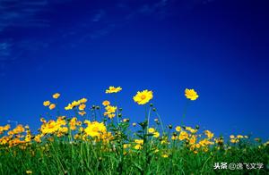 My View of Spring: Spring in Wuhan Doesn't Play by the Rules