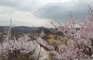 Phoenix Rising in Spring