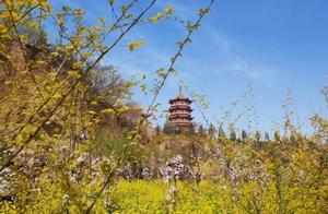 Fuqing District Invites You to Admire Flowers and Offer Suggestions