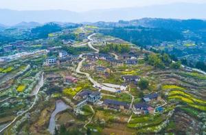 Liangping, Chongqing: Spring Light, Lilac Blooms