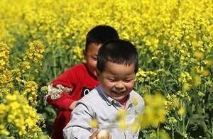 Very Interesting! In Chuzhou, Cute Scarecrows are Found Among the Rapeseed Flowers!