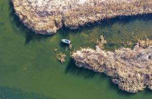 Protecting Birds in Wulingshan Wetland