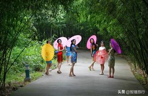Three Major Parks of Yuxi Grand Canyon Open Simultaneously: Hot Springing, Flower Viewing, Waterfalls, and Scenic Beauty