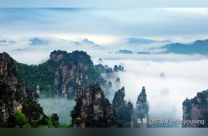 How much do Zhangjiajie National Forest Park tickets cost?