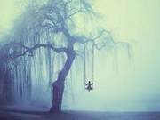 Twilight Poetry, Sky Snows, Drinking in the Mist