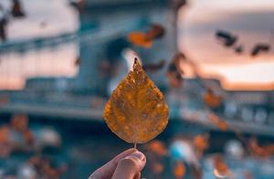 Elegant and Delicate Beautiful Sentences: In all goodbyes, I still prefer 'See you tomorrow'.