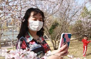Various Spring Flowers Bloom in Lanzhou