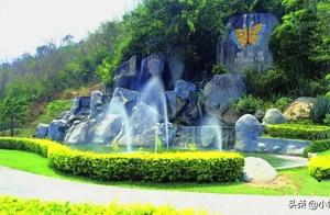 Bring Your Children to Dragon Bay Butterfly Valley This Winter – Experience a World of Dancing Butterflies