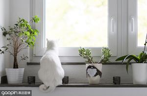 A Different Life, Flowers by the Window, You by My Side