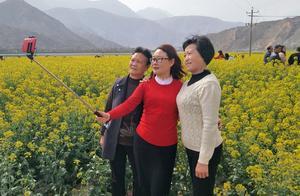Spring Already Entranced Travelers: Fragrant Vegetable Flowers Along the Long River's Shores