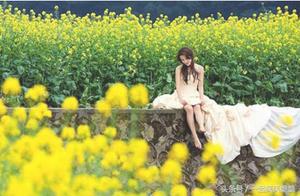 Beijing Rapeseed Flower Guide
