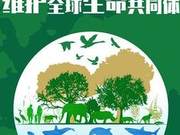 National Forestry and Grassland Administration: Overall Stable Growth in China's Endangered Wild Species Populations