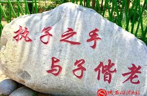 Reading Poetry and Distant Lands, Appreciating the Beauty of Summer in Yang