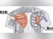Strategic Shift Under the Shoulder Blades