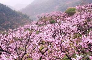 Yan Xiaocui | News from March