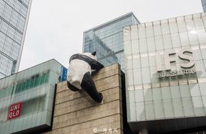 Cheap Flights to Chengdu Appear; This City Was Once Crowded with Tourists, Now Quiet and Charming