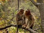 The Love, Hate, and Feuds of Nature Can Be More Exciting Than You Imagine