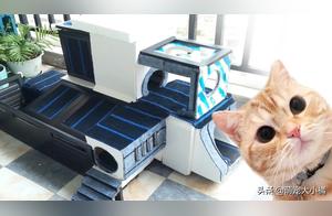 How to Make a Luxurious and Stylish Cat Villa for Free
