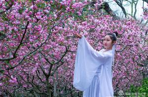 (Peach Blossoms Still Smile in the Spring)