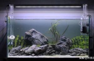 I'll tell you how long it takes to change the water for fish tanks and when to add nitrifying bacteria?