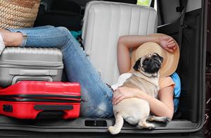 People with a 'Dog-Type' Personality are Naturally Suited to Raising Dogs - Are You a Natural 'Dog Person'?