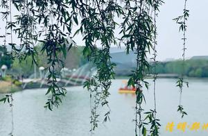Springtime Trip and Hiking - Let's Go Spring Outing with Jiaozhou Residents!